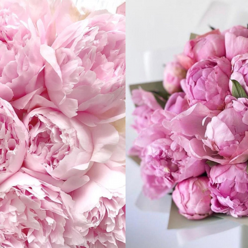 Букет пионов